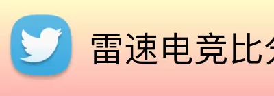 雷速电竞比分 Logo